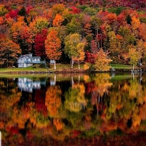 Meet your Posher, Foz